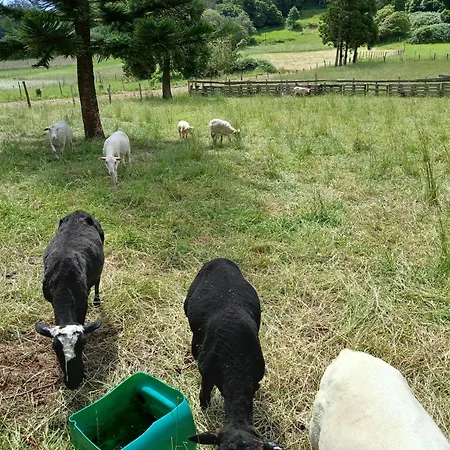 Casa Da Vivi Santo Espirito