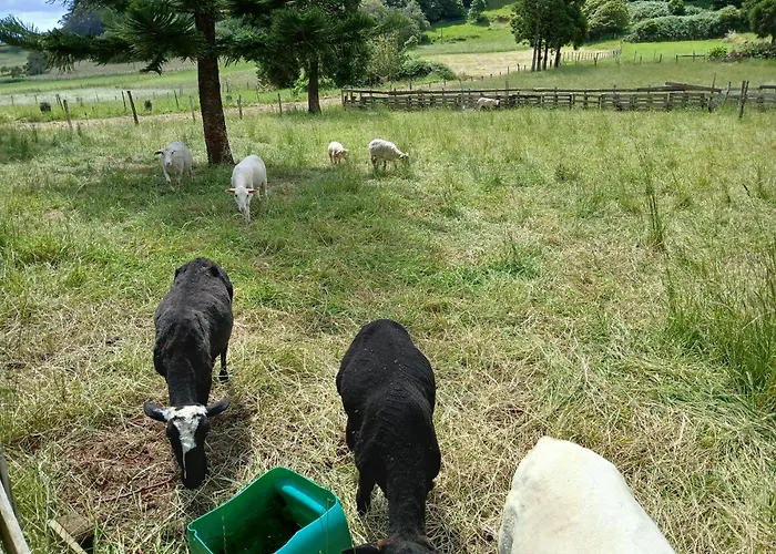 Casa Da Vivi Santo Espírito